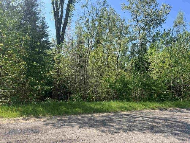 Land for sale in Townsend, Wisconsin