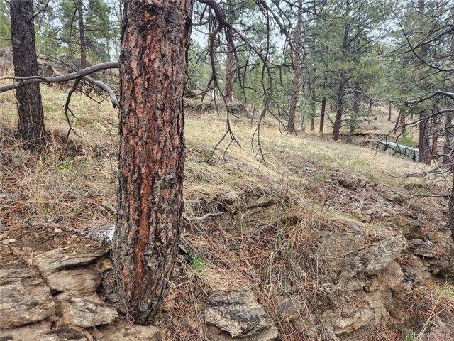 Land for sale in Evergreen, Colorado