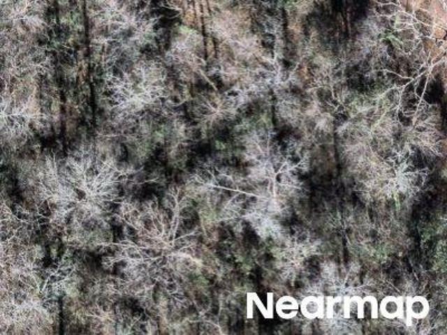 Land for sale in Macon, Georgia