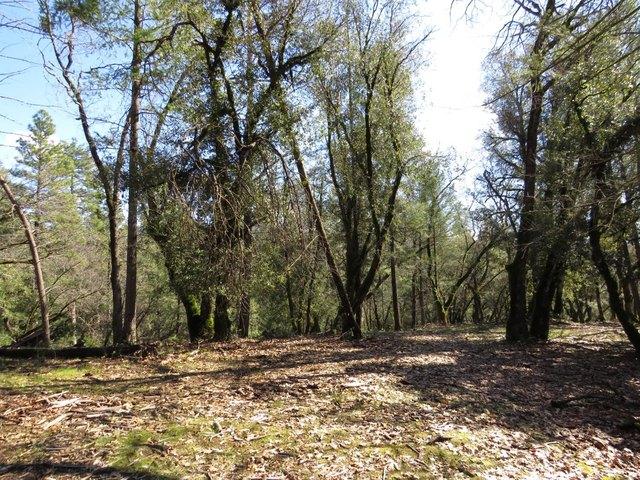 Land for sale in Colfax, California