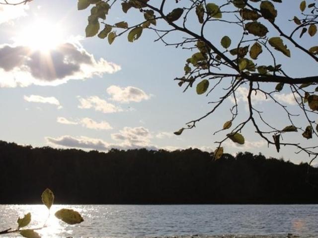 Land for sale in Wisconsin