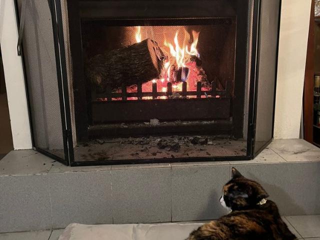 Room for rent in Sydney, New South Wales
