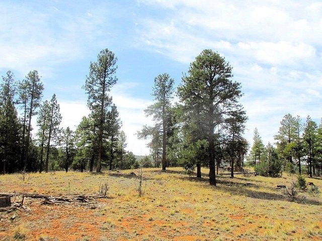 Land for sale in Ramah, New Mexico