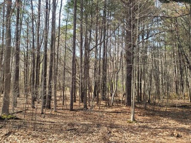 Land for sale in Grasonville, Maryland