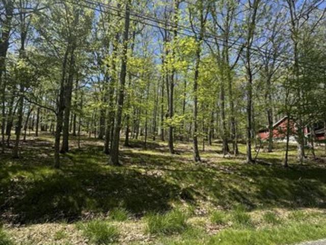 Land for sale in Hawley, Pennsylvania