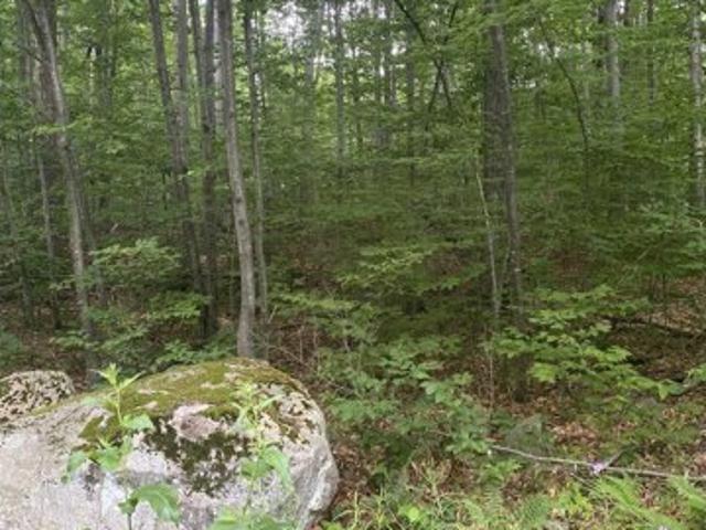 Land for sale in Middlebury, Vermont