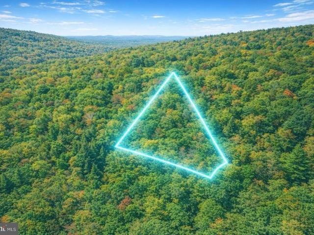 Land for sale in Fort Valley, Georgia