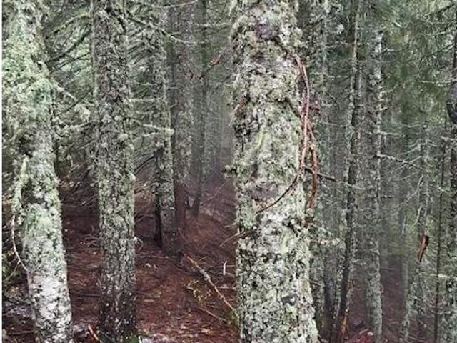 Land for sale in Oregonia