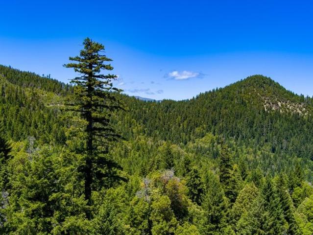Land for sale in Hyampom, California