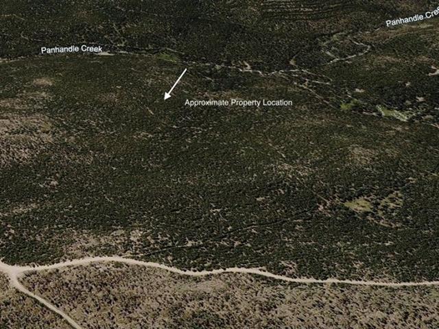 Land for sale in Red Feather Lakes, Colorado