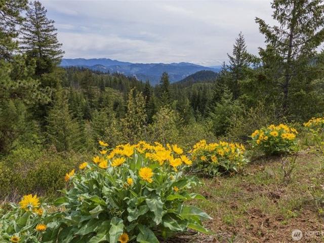 Land for sale in Leavenworth, Chelan County