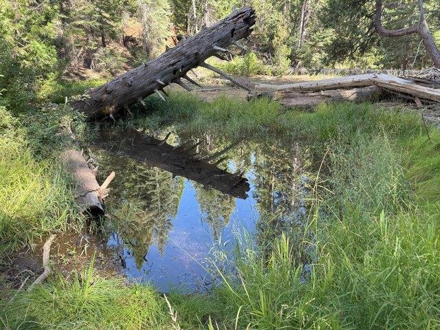 Land for sale in Downieville, California