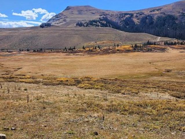 Land for sale in South Fork, Rio Grande County