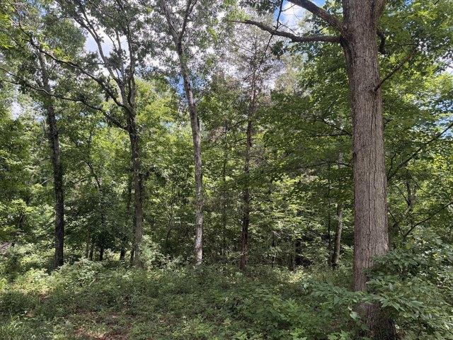 Land for sale in Shannon, Missouri