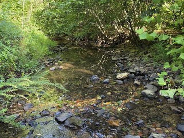 Land for sale in Mena, Polk County