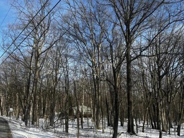 Land for sale in Carbon, Pennsylvania