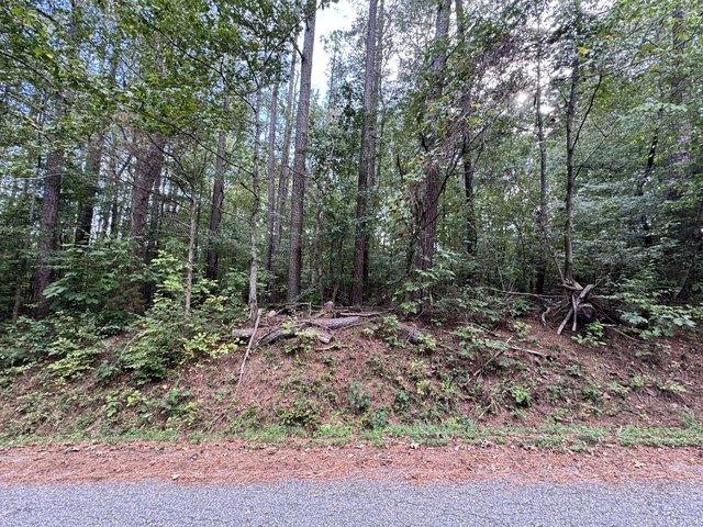 Land for sale in Bumpus Mills, Middle Tennessee