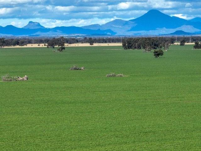 Cottage for sale in Gurley, New South Wales