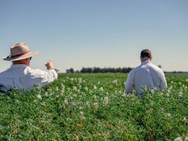 Property for sale in West Wyalong, New South Wales