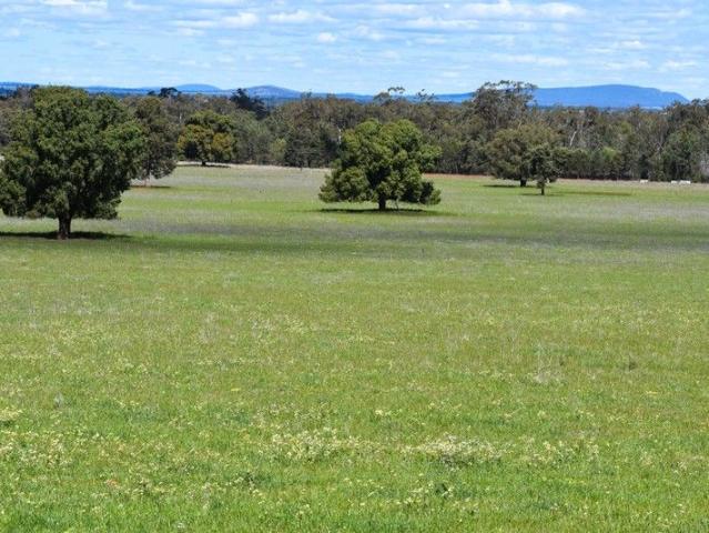 Cottage for sale in Trundle, New South Wales
