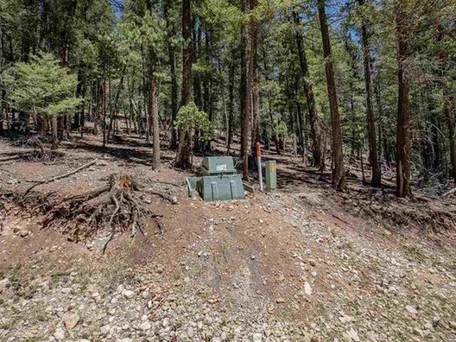 Land for sale in Cloudcroft, New Mexico