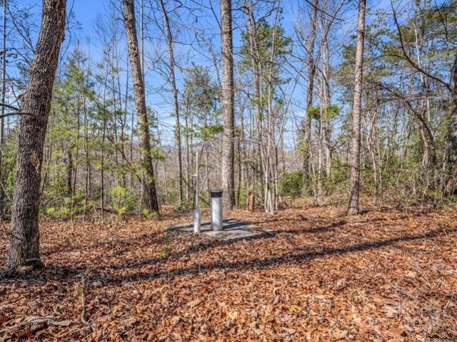 Land for sale in Mill Spring