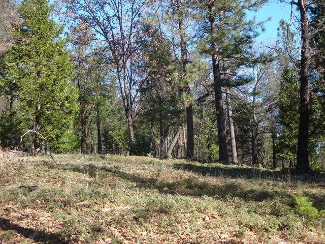 Land for sale in Foresthill, California
