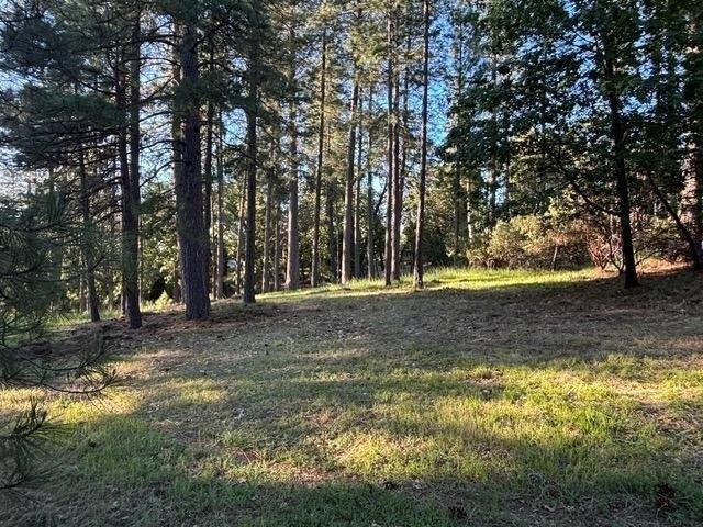 Land for sale in Foresthill Land for sale in Foresthill