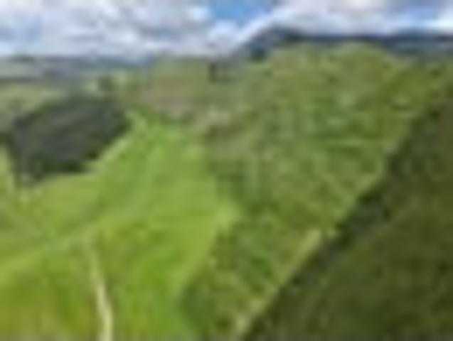 Land for sale in Waikato