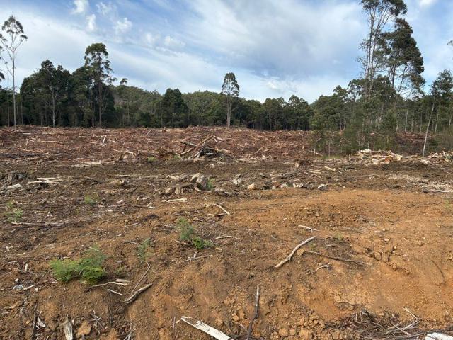 Cottage for sale in Wynyard, Tasmania