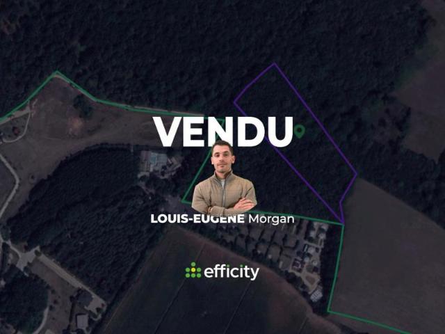 Maison vente à Montmorillon, Lhommaizé