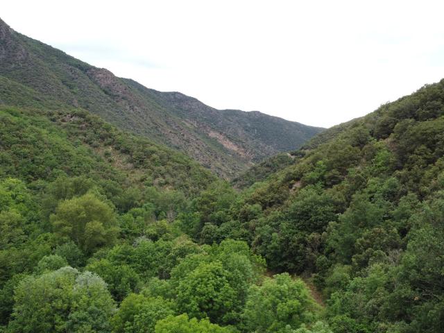 Terrain vente à Prades, Vinça