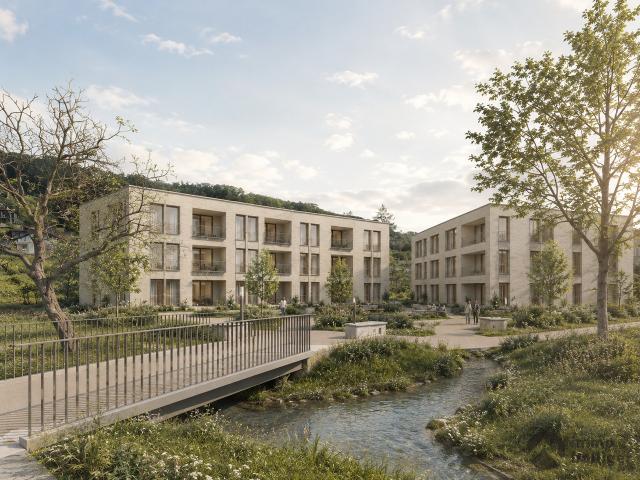 Immobilie kaufen in Hallwil, Aargau