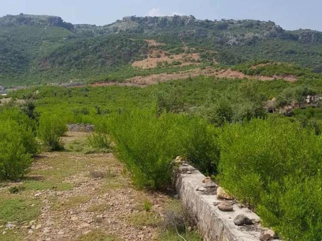 Land for sale in اسلام آباد, زون 1