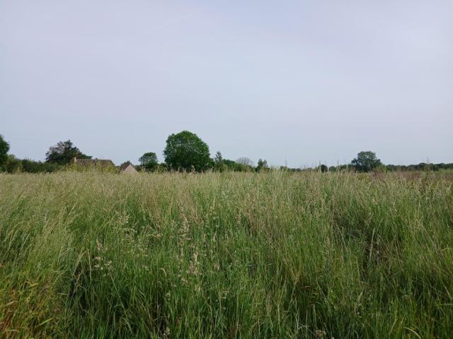 Terrain vente à Bayeux, Formigny