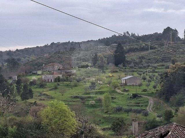 Terreno venda em Guarda