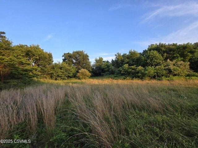 Land for sale in New Columbia