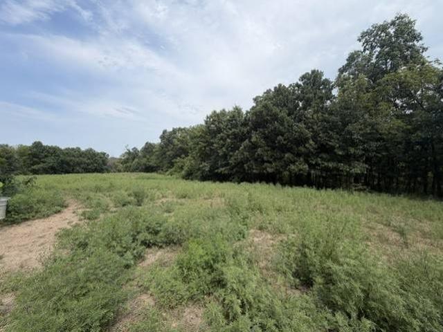 Land for sale in Cameron, Missouri