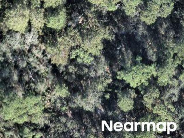 Land for sale in Florida