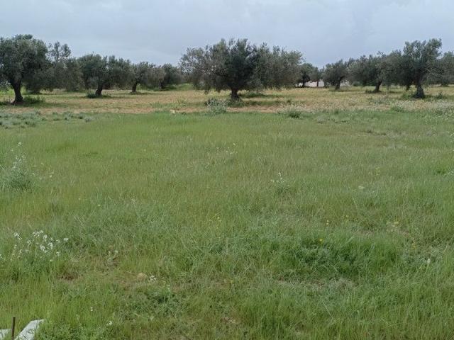 Terrain vente à Beni Khalled