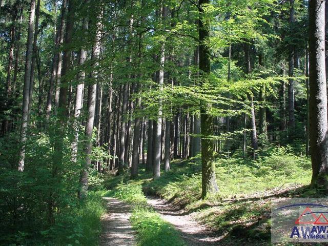Immobilie kaufen in Sankt Michael in Obersteiermark, Bezirk Leoben