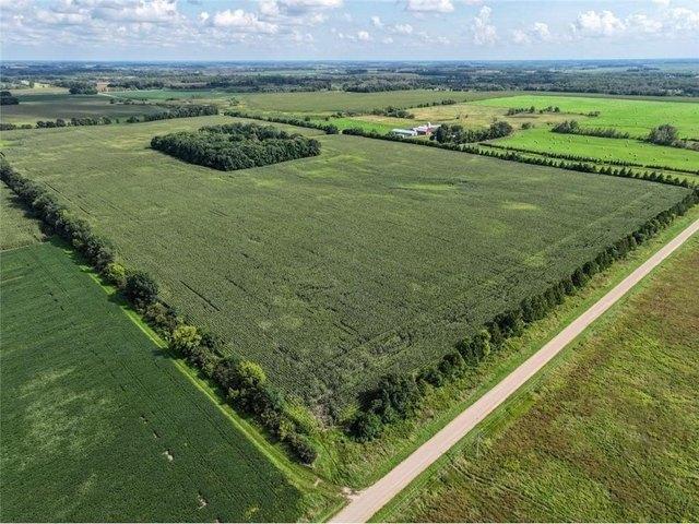 Land for sale in Carlos, Minnesota
