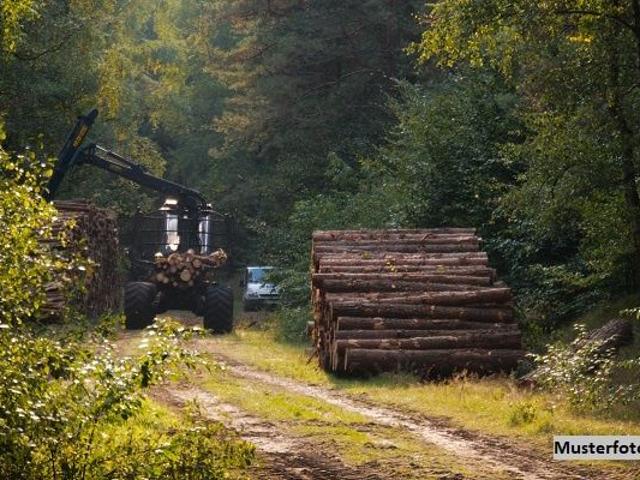 Grundstück kaufen in Engerwitzdorf, Oberösterreich