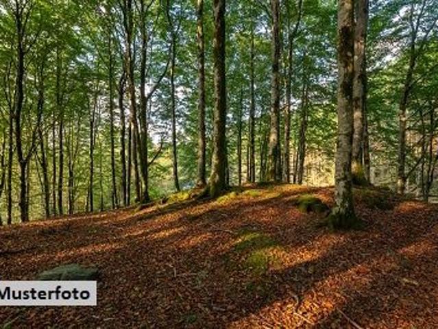 Grundstück kaufen in Eberndorf, Kärnten