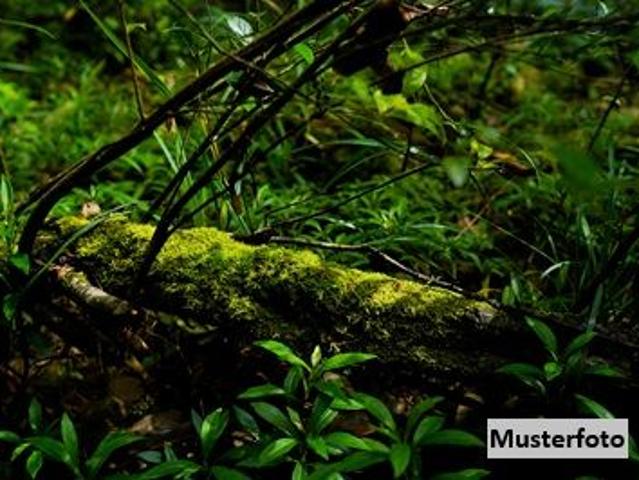Grundstück kaufen in Hopfgarten i.Br., Tirol