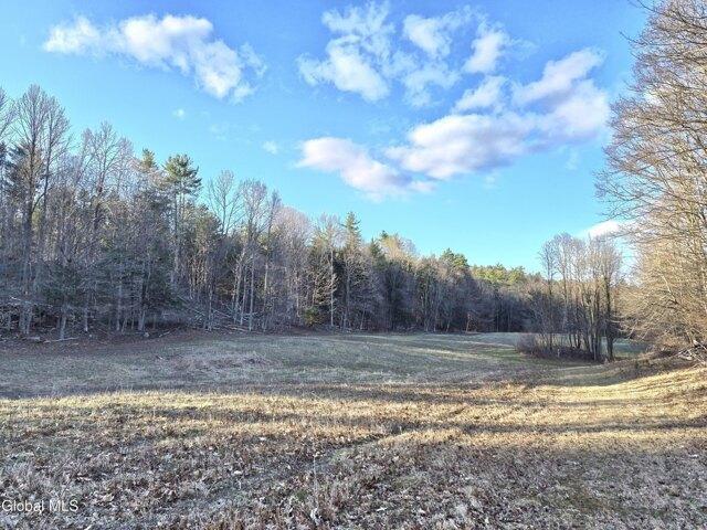 Land for sale in New York