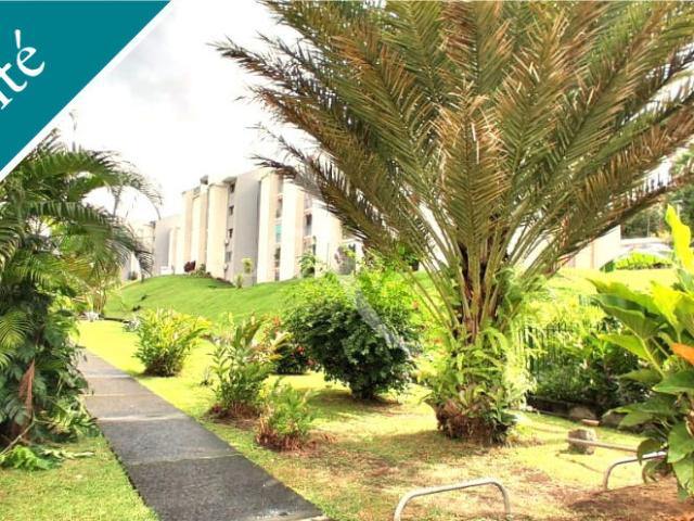 Appartement vente à France