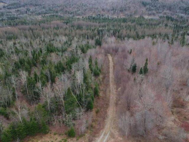 Land for sale in Fort Kent, Aroostook County