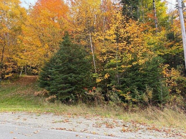 Land for sale in Fort Kent Mills, Fort Kent