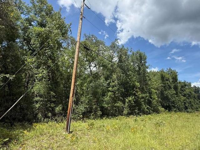 Land for sale in Fort White, Florida